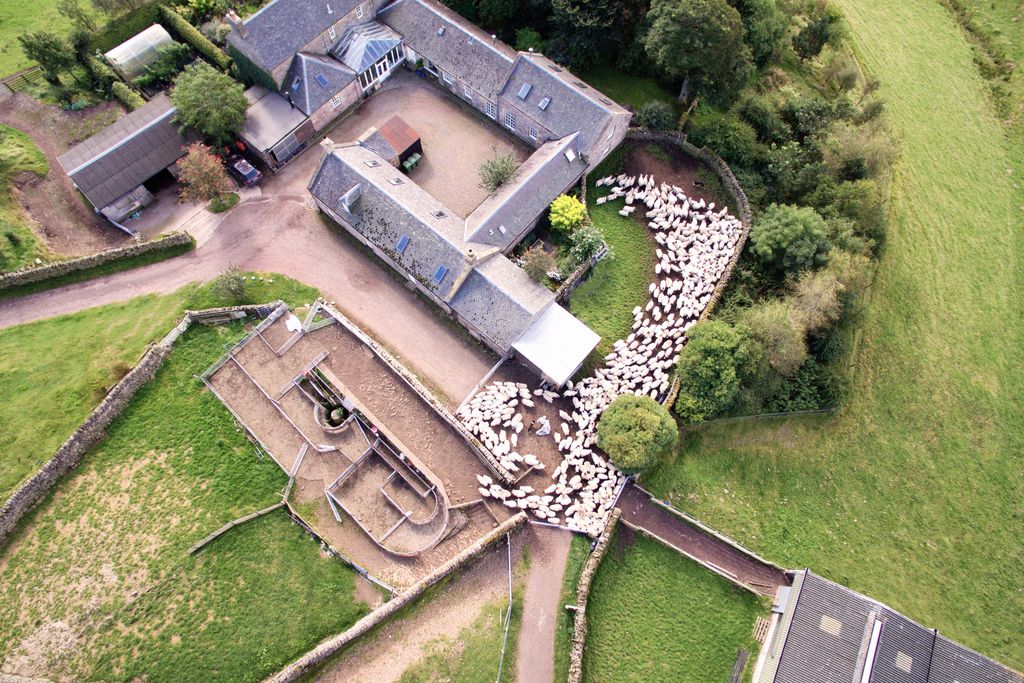 Steading Cottage gallery - Gallery