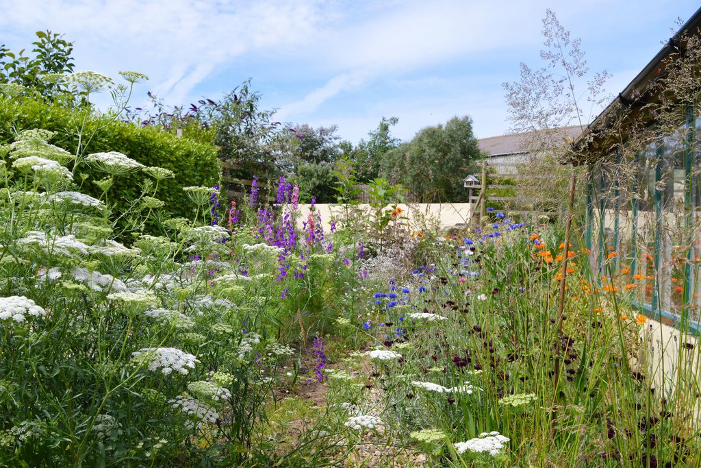 Dairy Cottage gallery - Gallery