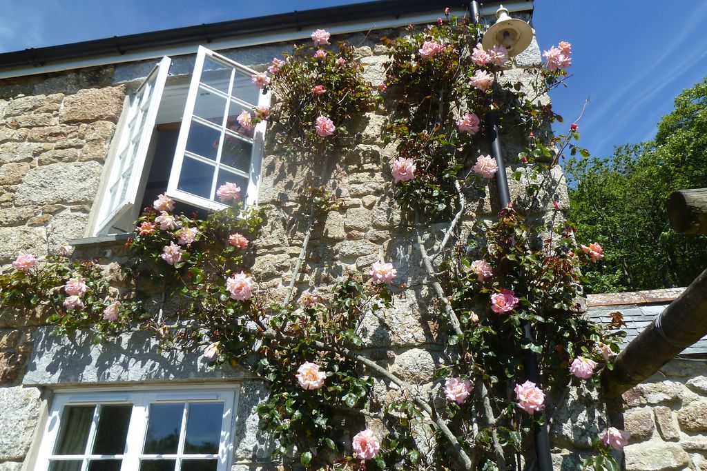 Cove Cottage gallery - Gallery