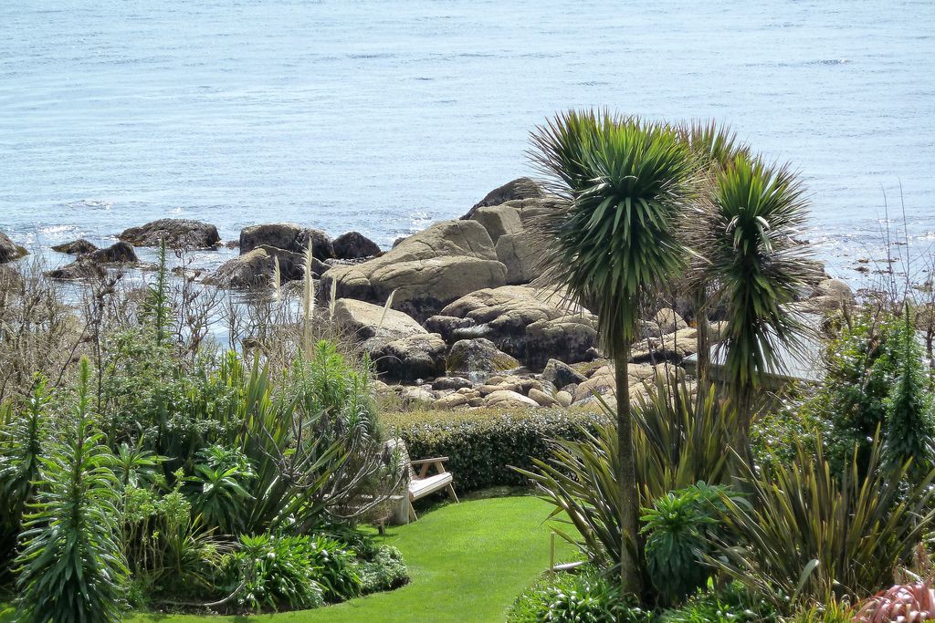 Cove Cottage gallery - Gallery