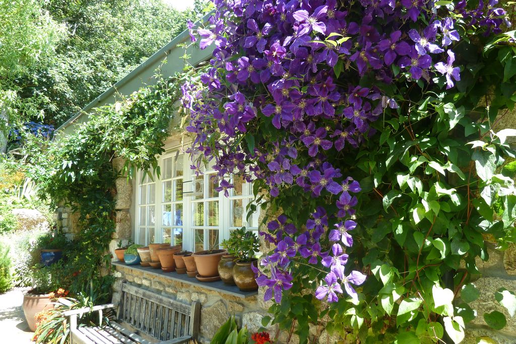 Cove Cottage gallery - Gallery