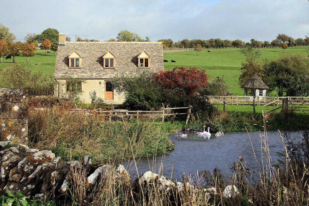 The Swan gallery - Gallery