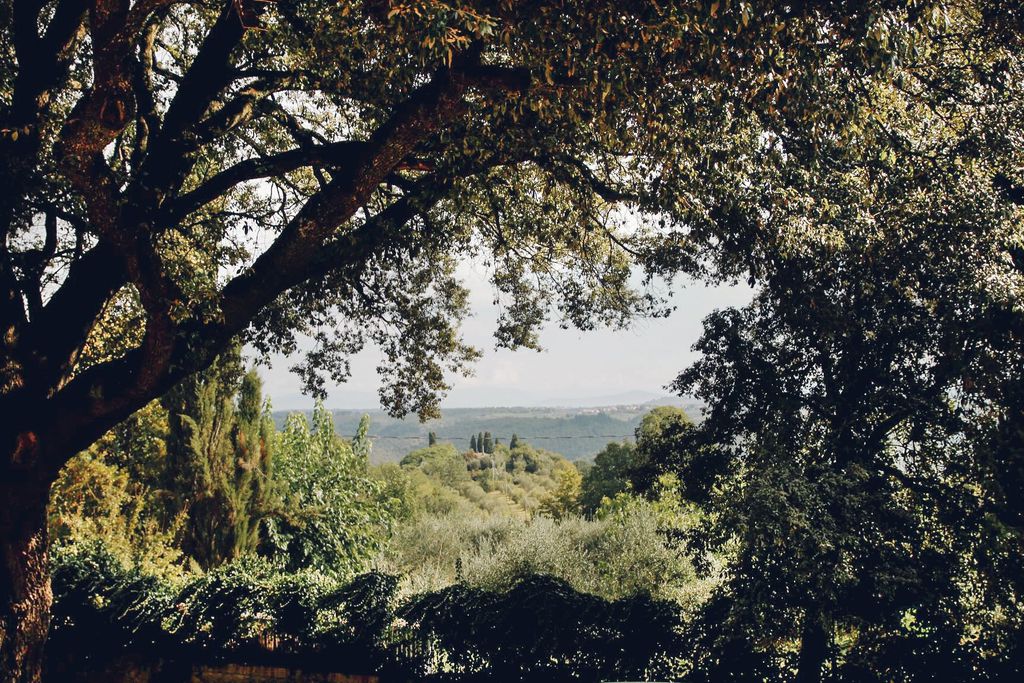 Villa Moris gallery - Gallery