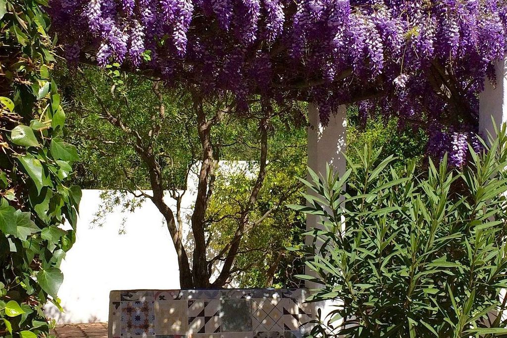 Villa Amapola gallery - Gallery