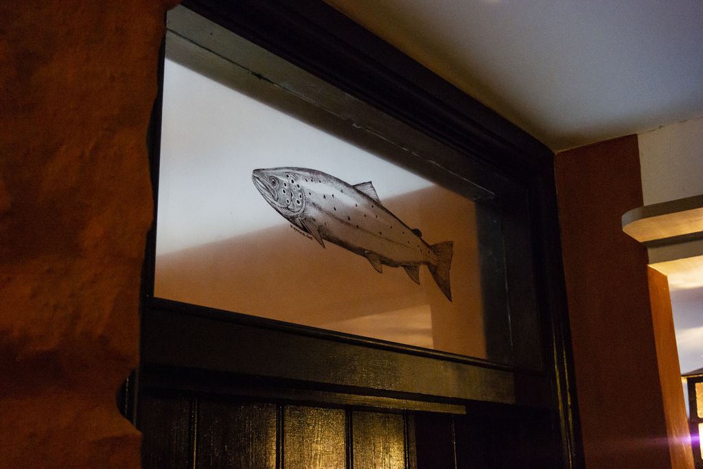 The Leaping Salmon gallery - Gallery