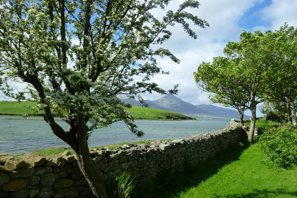 Windmill Cottages gallery - Gallery