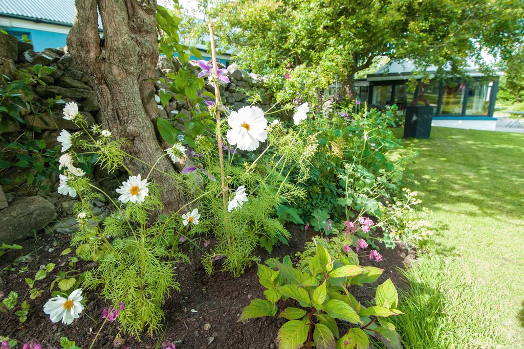 Windmill Cottages gallery - Gallery