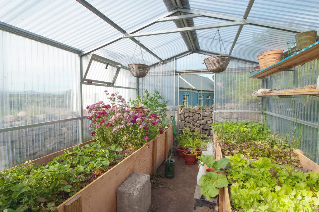 Windmill Cottages gallery - Gallery