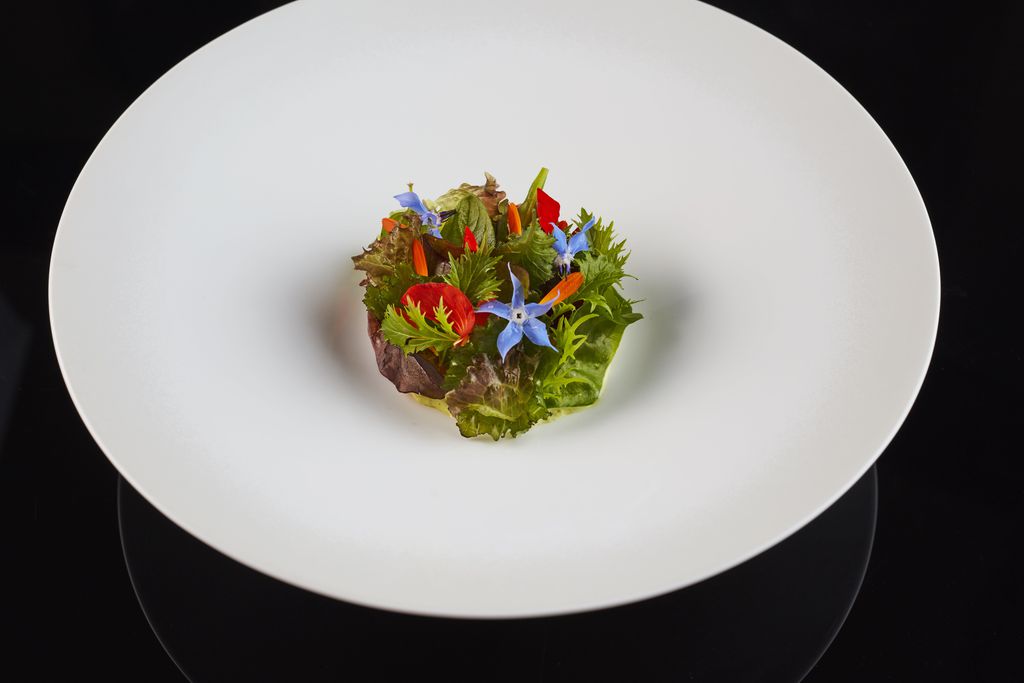 The Montagu Arms gallery - Gallery
