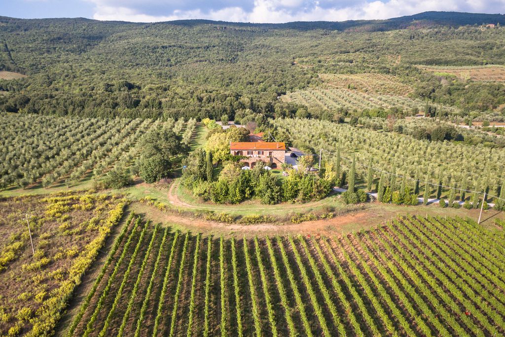 Tenuta Il Cicalino gallery - Gallery
