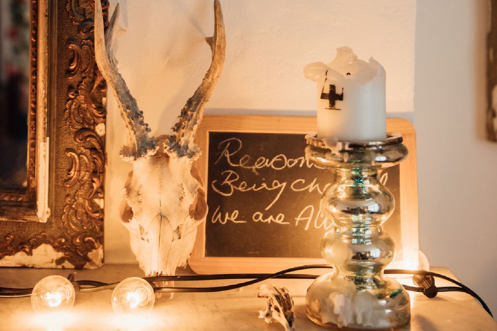 The Curious Cabinet gallery - Gallery