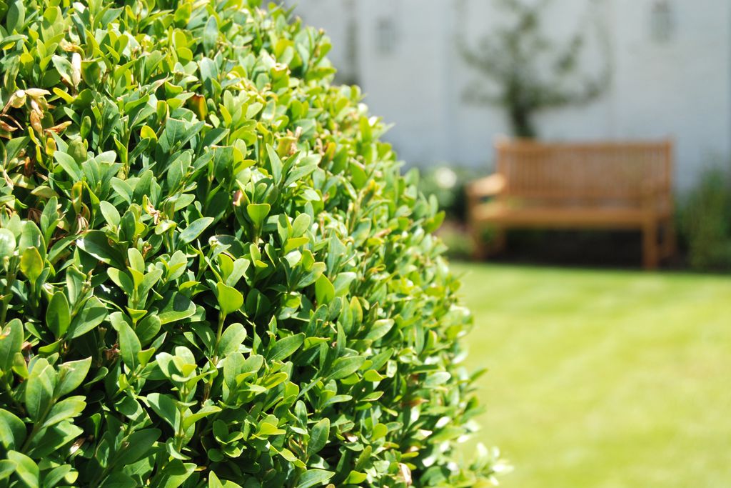 Lime Tree Hotel gallery - Gallery