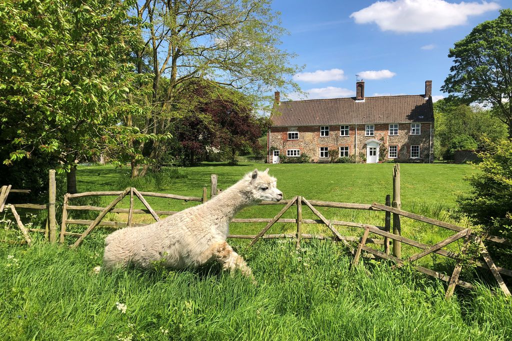 College Farm gallery - Gallery