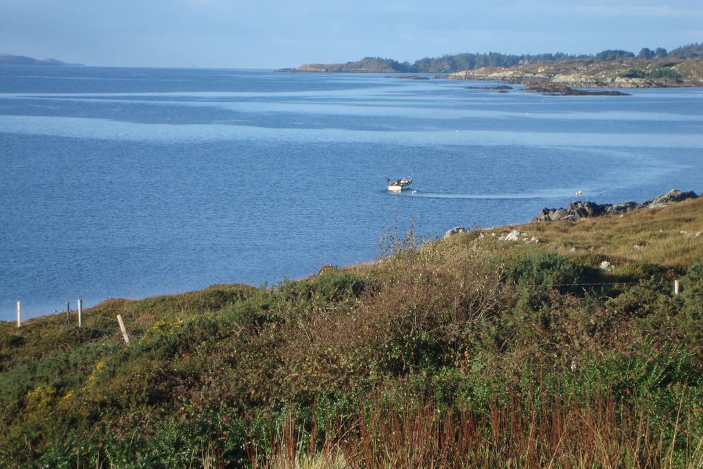 Seal Rock Cottage - Gallery