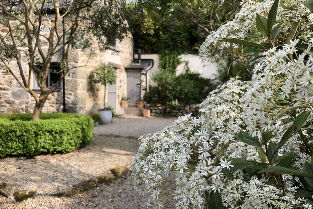 Carter's Croft at Middle Colenso Farm - Gallery