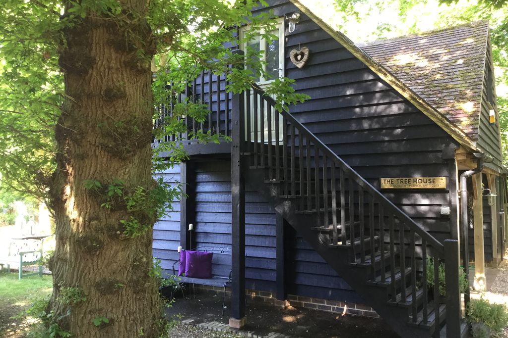The Treehouse gallery - Gallery