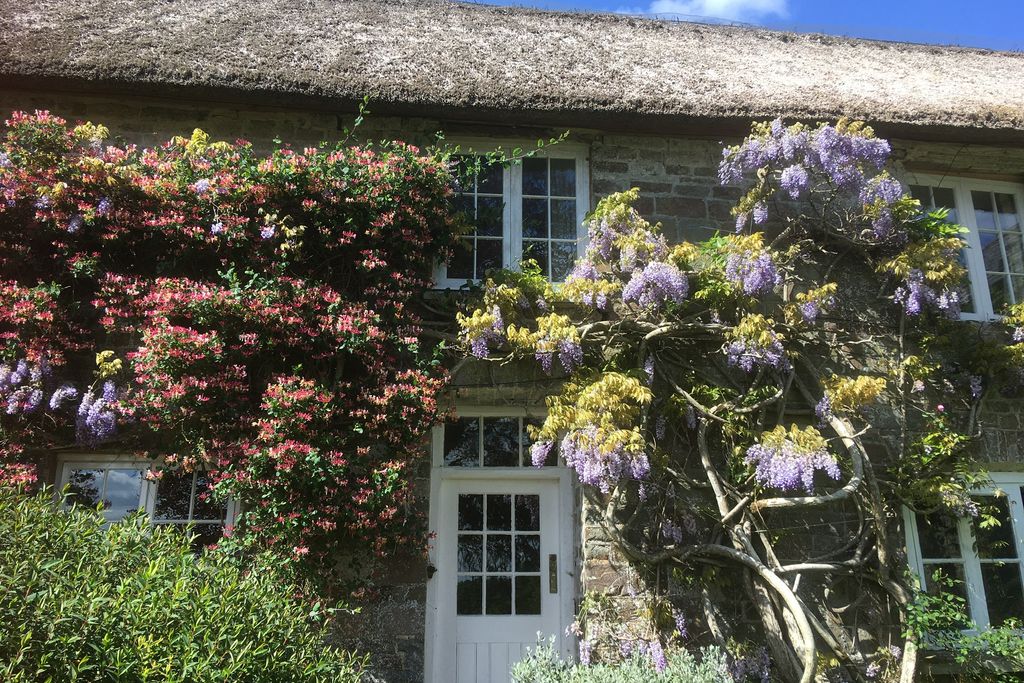 Affeton Barton gallery - Gallery