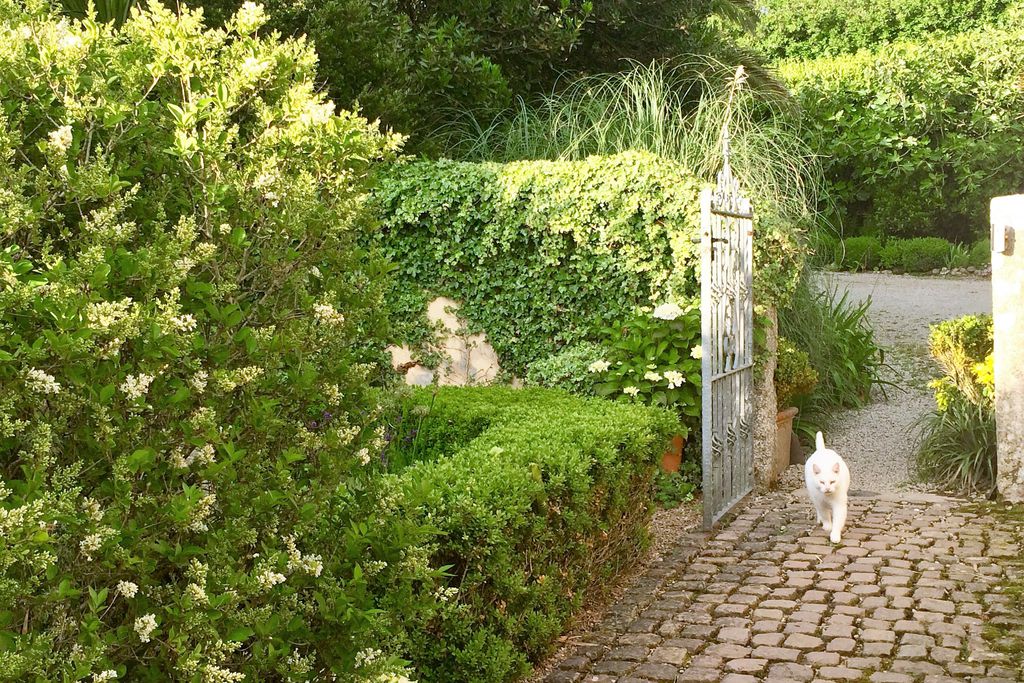 Ednovean Farm gallery - Gallery