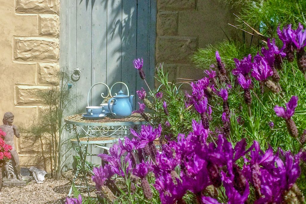 Ednovean Farm gallery - Gallery
