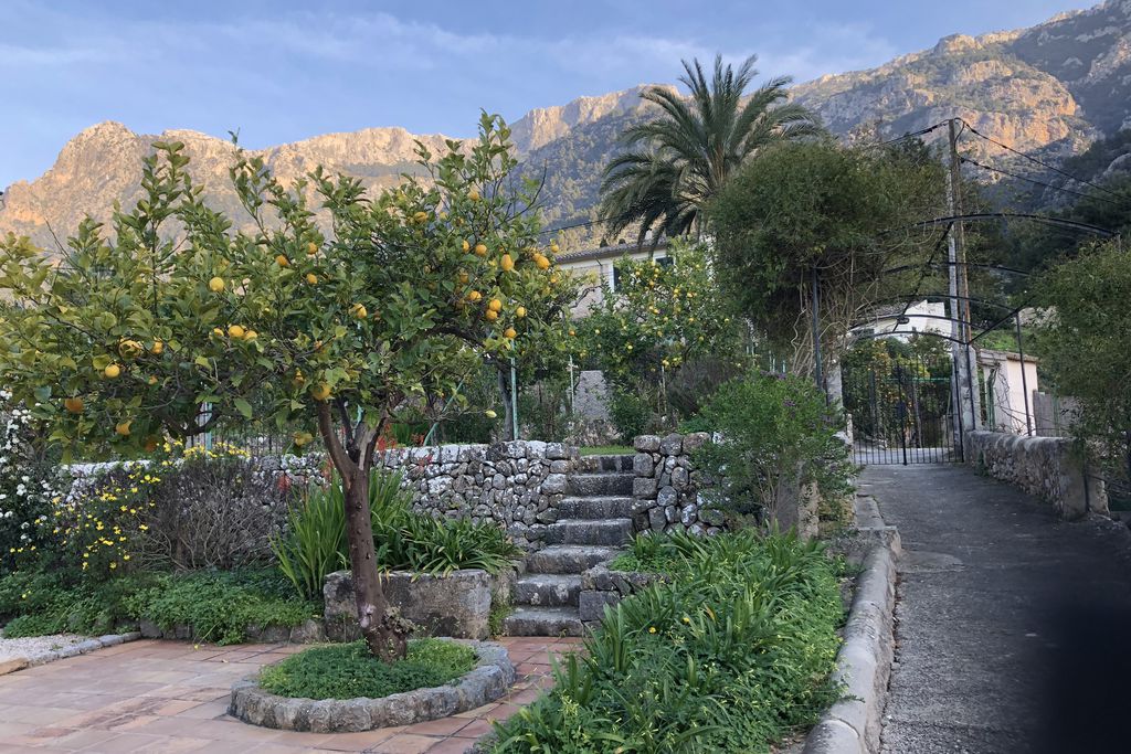 Casa Panares gallery - Gallery