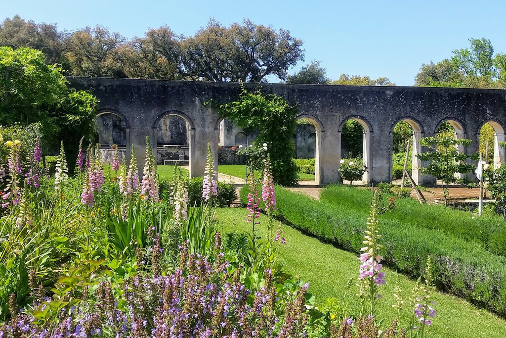 Quinta da Conceicao gallery - Gallery