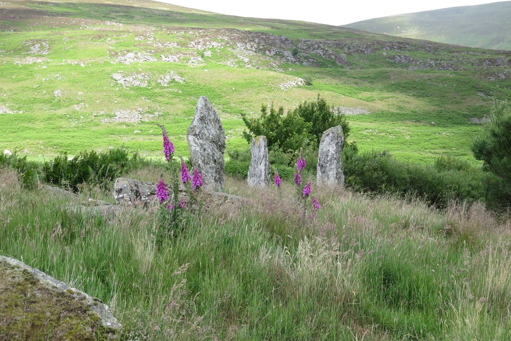 Colmeallie Bothy gallery - Gallery