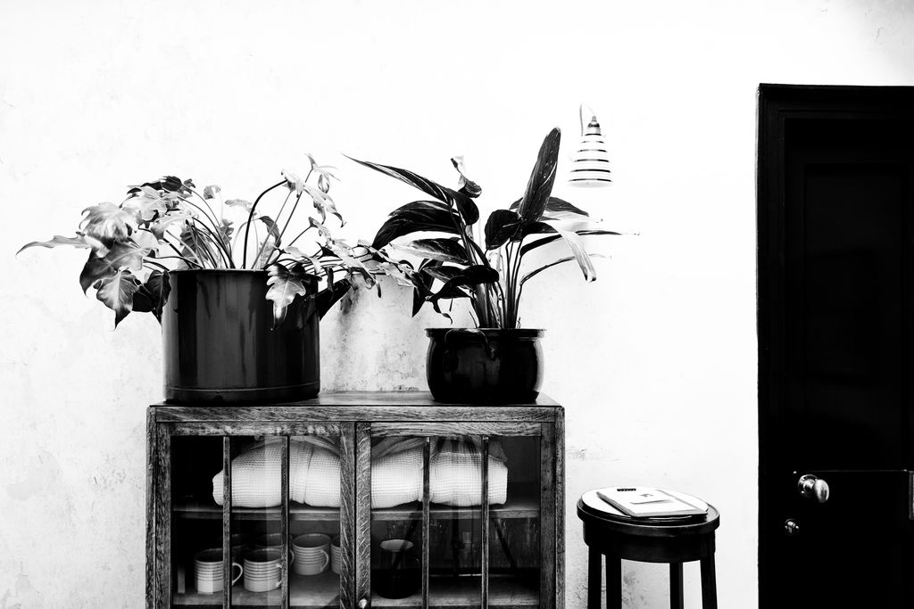 The Bull Inn gallery - Gallery