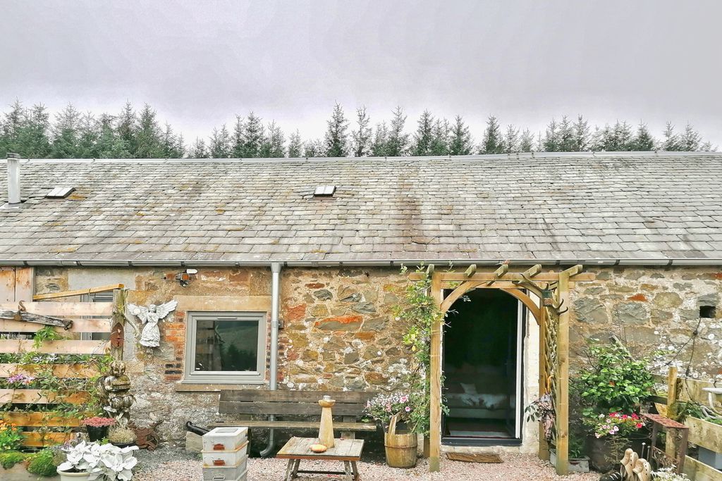 Singdean gallery - Gallery