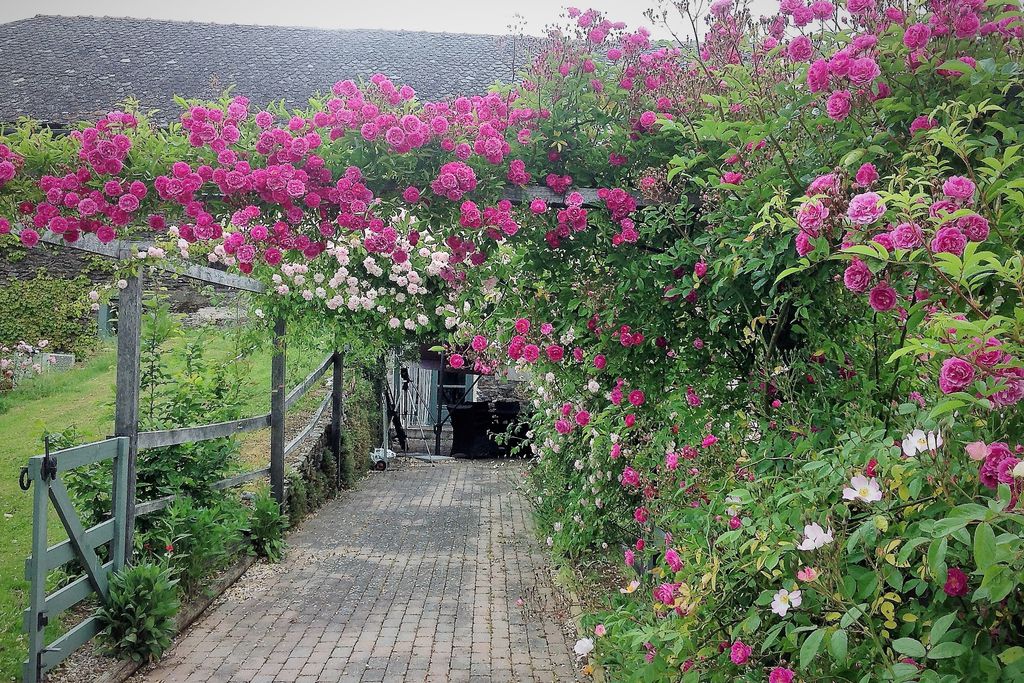 Nichoir - The Garden Studio gallery - Gallery