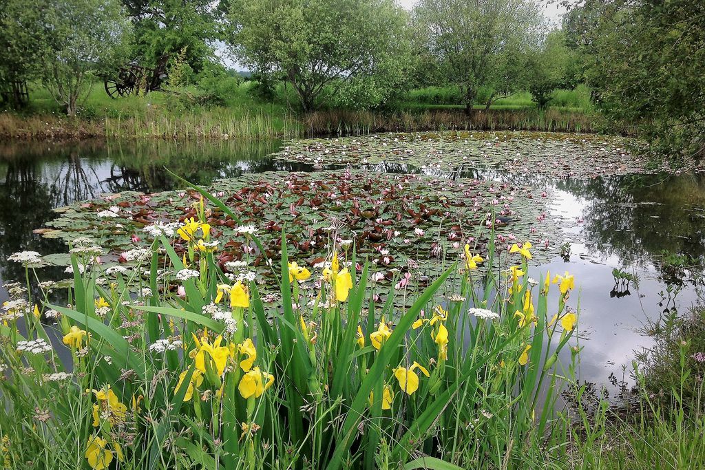 Nichoir - The Garden Studio gallery - Gallery