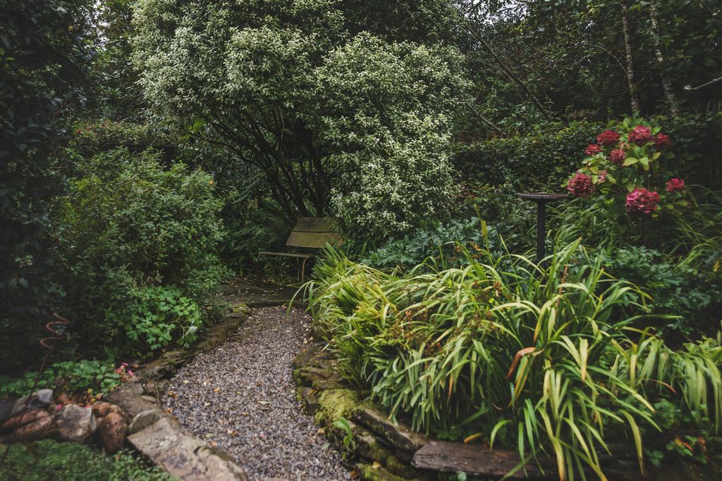 Ivy Studio gallery - Gallery