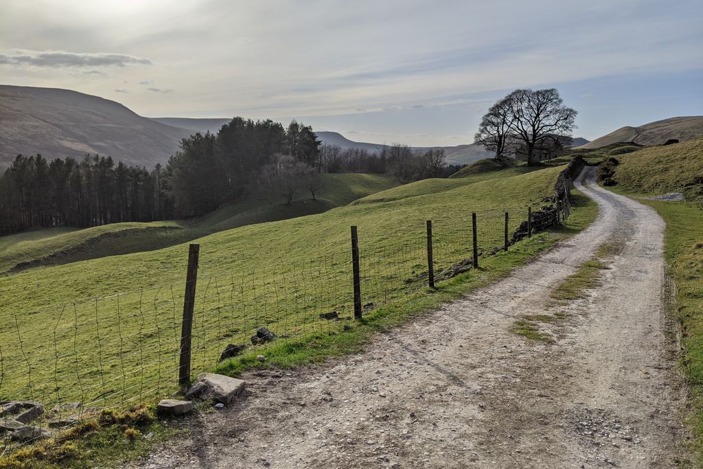 Lockerbrook Farm gallery - Gallery