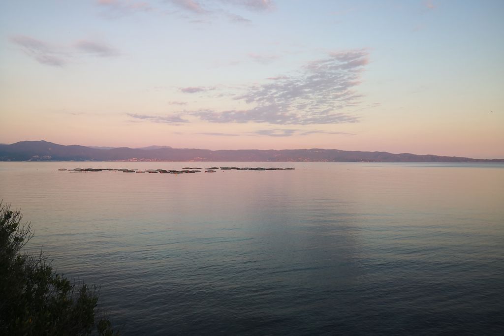 Alba Marina gallery - Gallery
