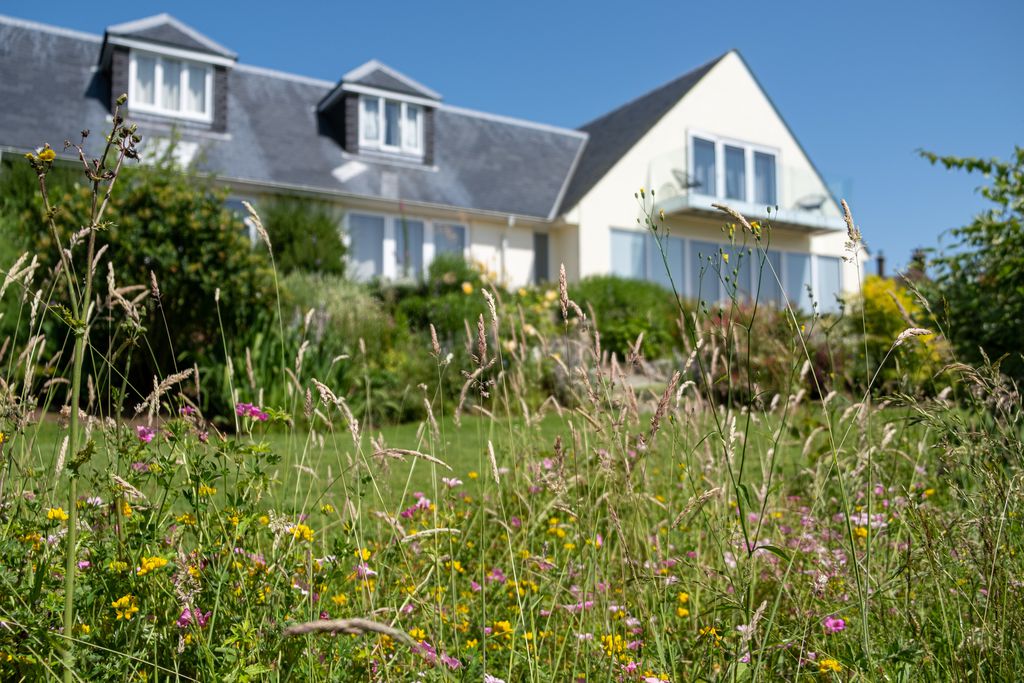 Meadow Cottage Bed & Breakfast gallery - Gallery
