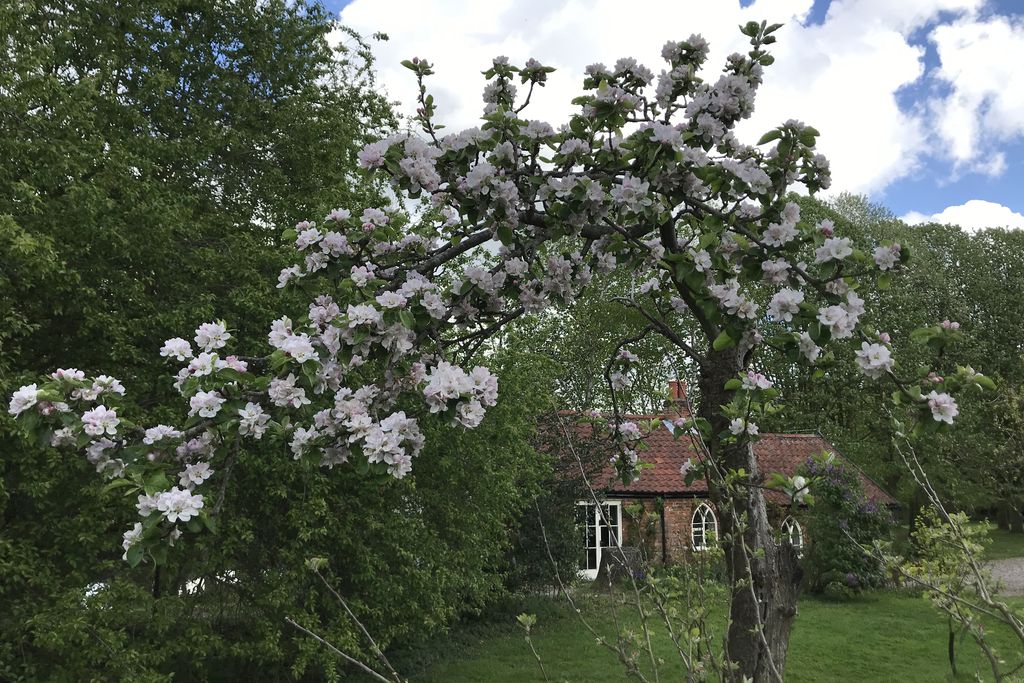 Folly Cottage gallery - Gallery