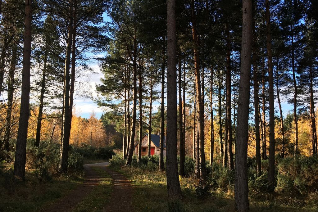 Callie Bothy gallery - Gallery