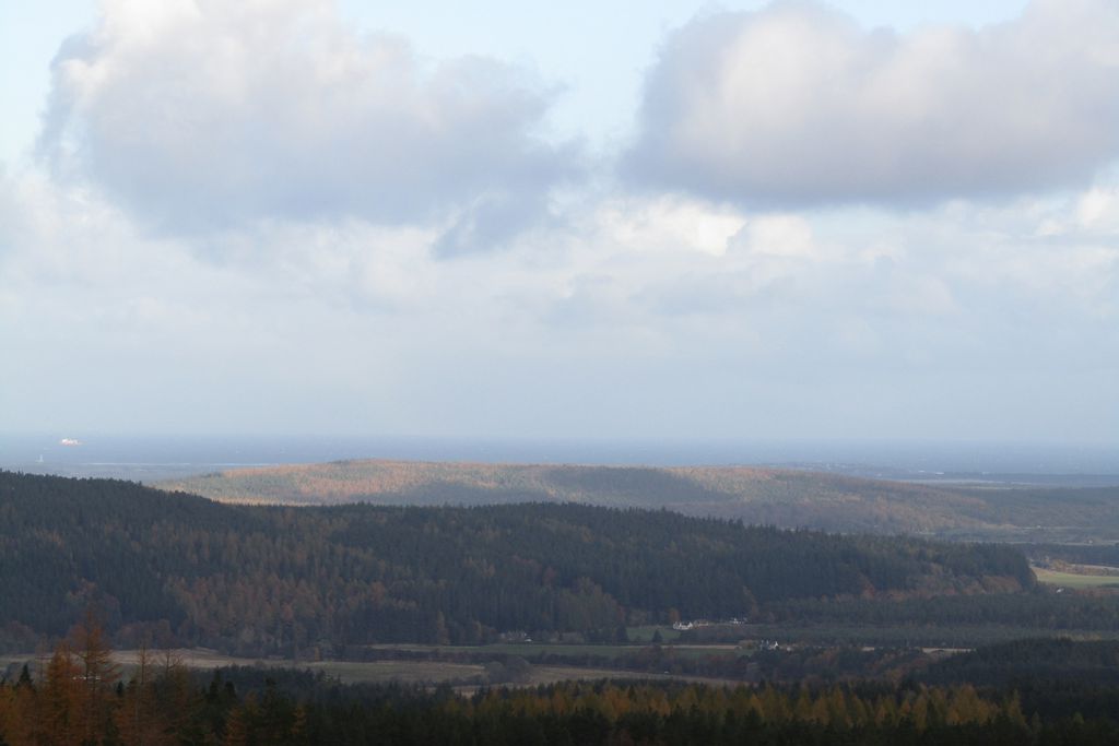 Callie Bothy gallery - Gallery
