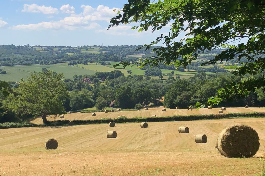 Eatonden Manor Farm gallery - Gallery