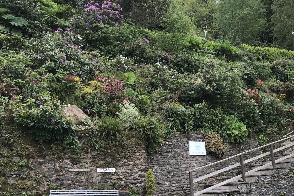 Garden Studio, North Walk House gallery - Gallery