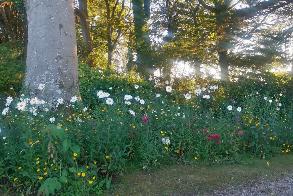 Dromore House gallery - Gallery