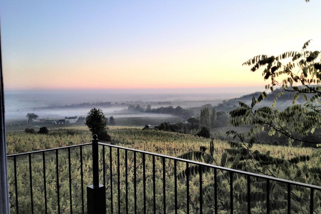 The Wine Cottage gallery - Gallery