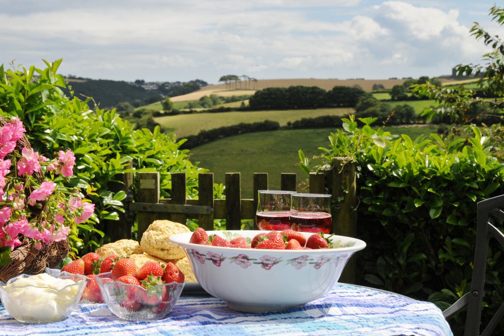 The Farmhouse at Treworgey gallery - Gallery