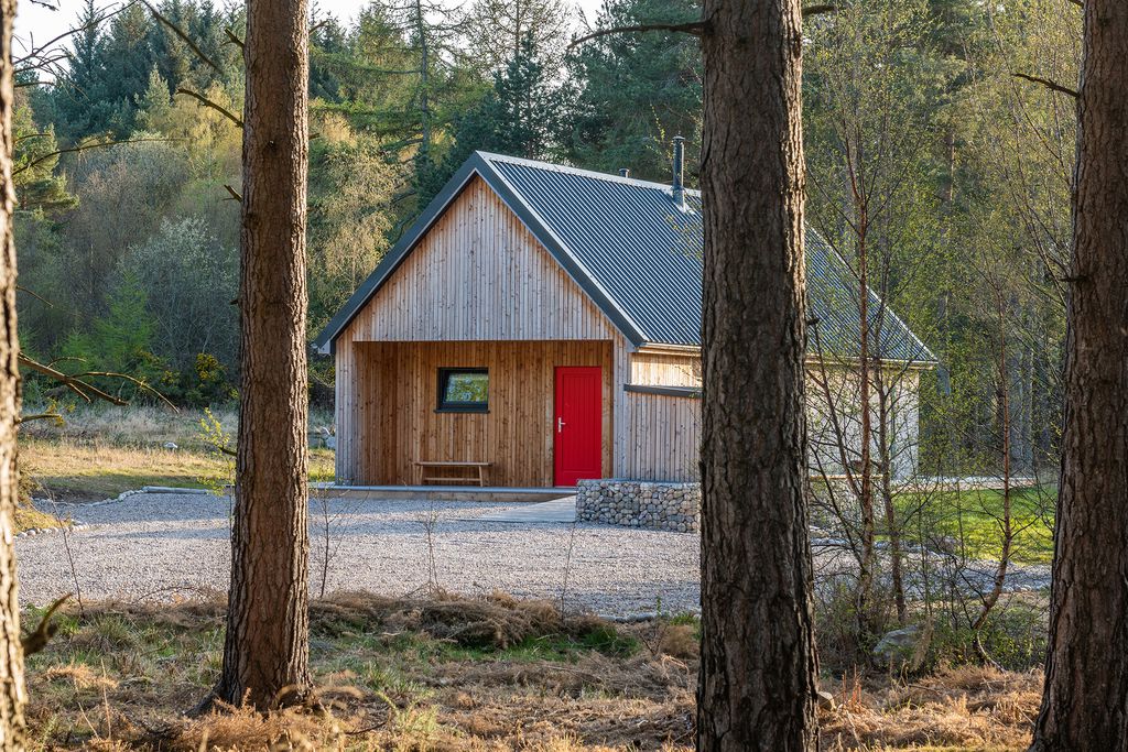 Callie Bothy gallery - Gallery