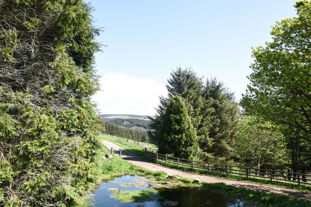Tutors Lodge, Kidlandlee gallery - Gallery
