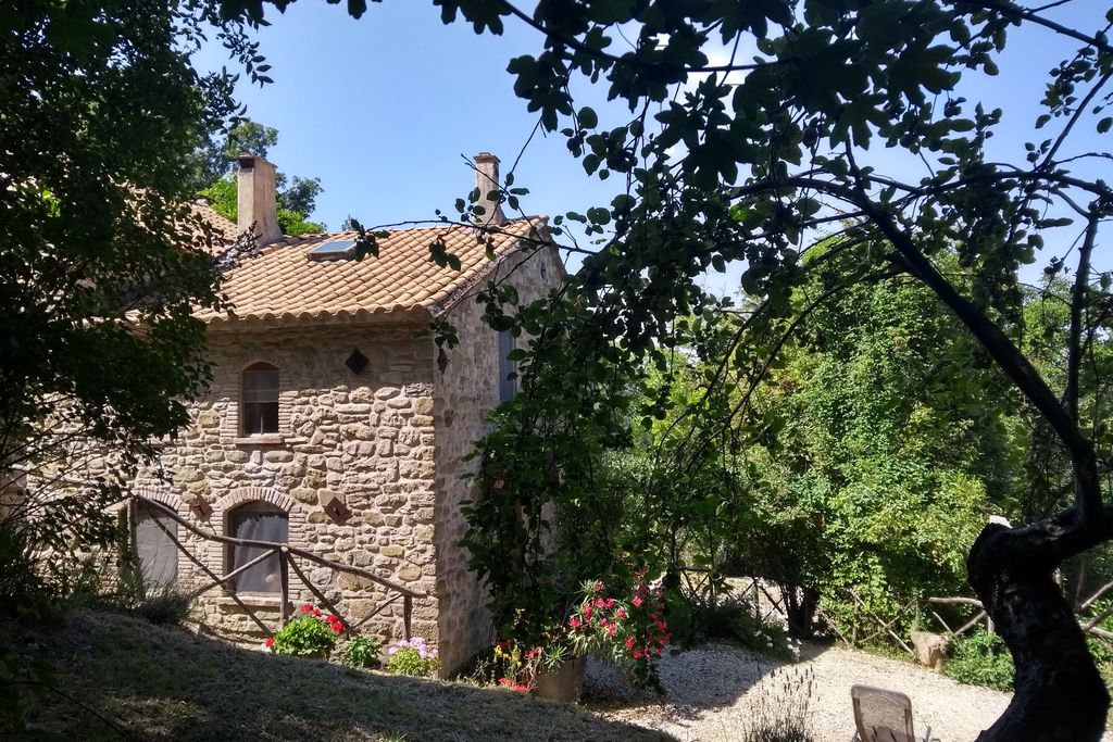 Wild Umbria gallery - Gallery