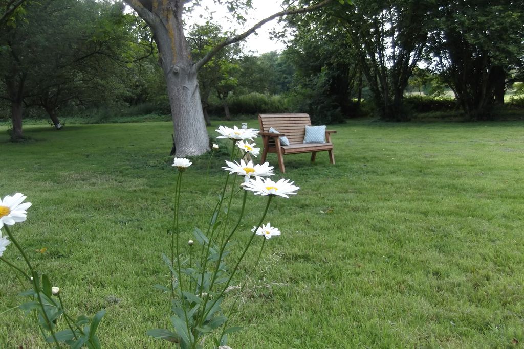 Willow Tree Cottage gallery - Gallery