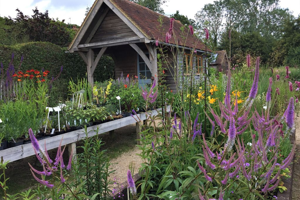Wayside Byre at Marchants gallery - Gallery