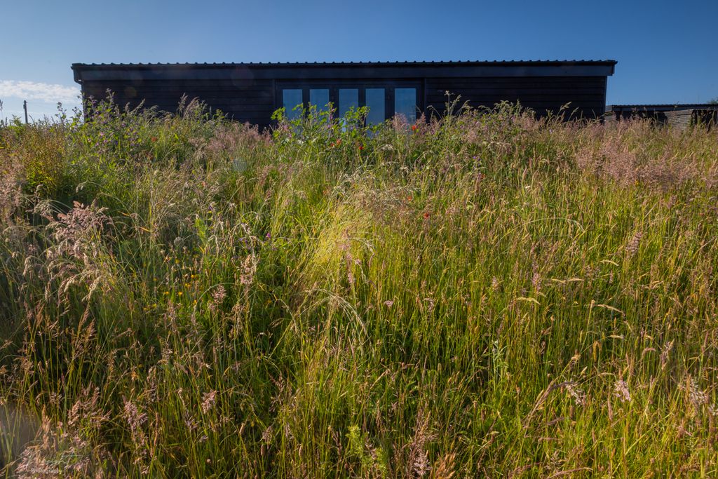 The Grain Barn gallery - Gallery