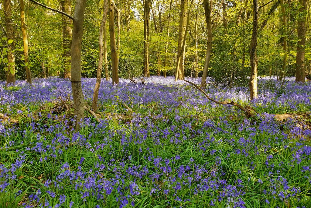 Church Lane Barns Sawday's