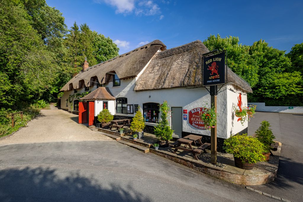 Red Lion at East Chisenbury - Gallery
